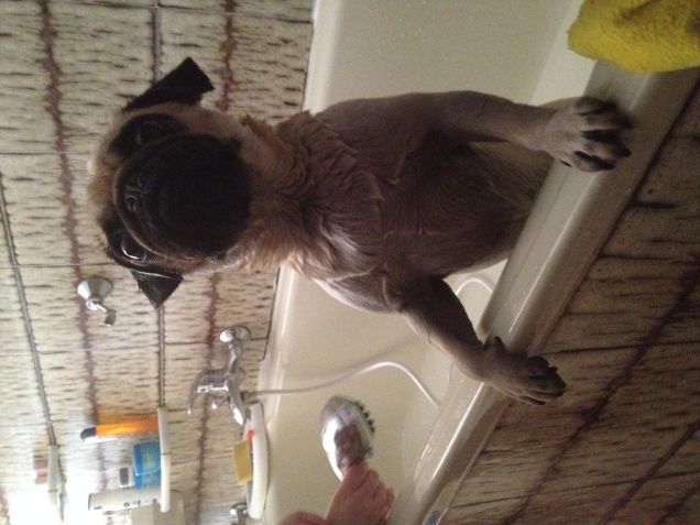 bagnetto rinfrescante..