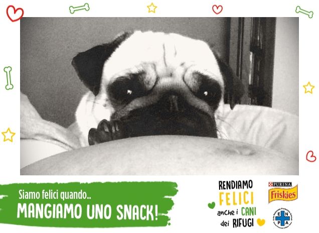 Kira sul mio pancione...