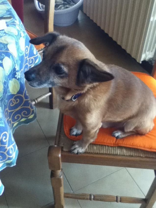 Tu ti alzi? E io ti frego il posto!