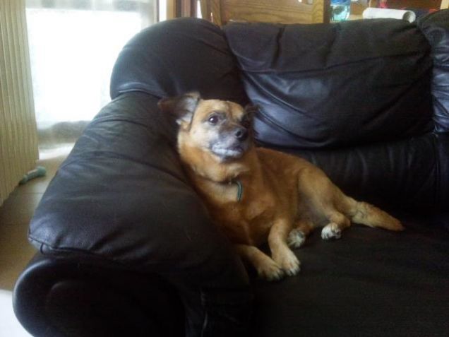 Adoro rilassarmi sul divano!