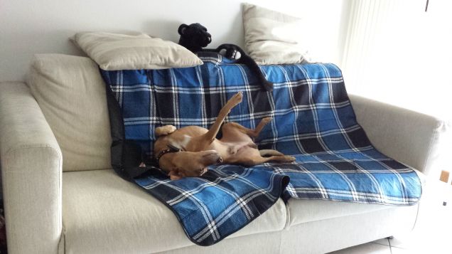 Adoro dormire in posizioni strane!