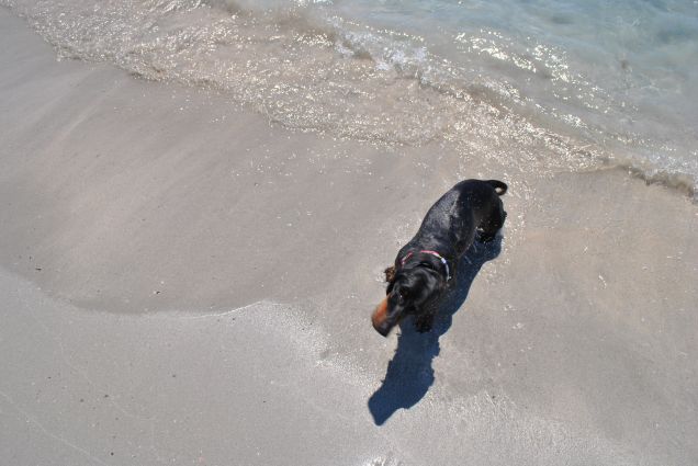 Un estate al mare!!!!...