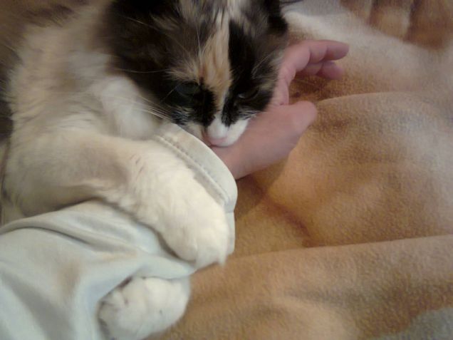 fufy, la mia piccola assassina...