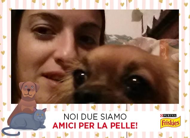 la felicità sta nelle piccole cose
