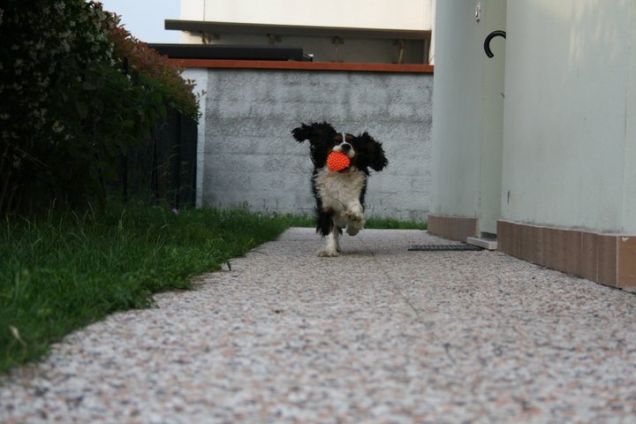 Io e la mia adorata pallina a forma di riccio!!!