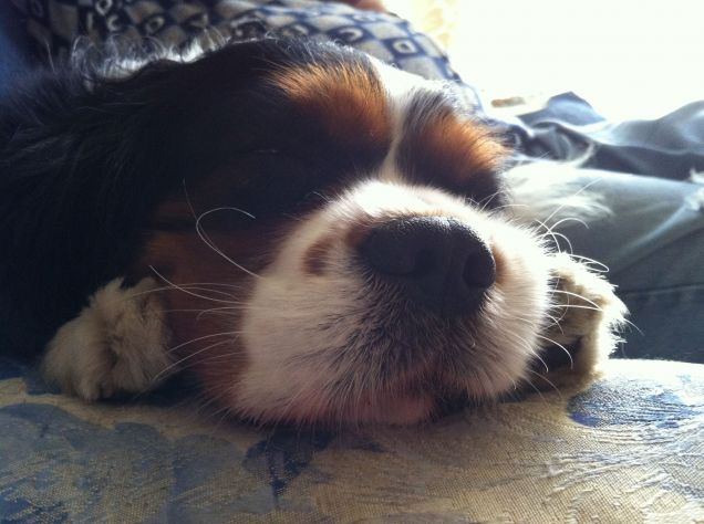 Ora della nanna..... 