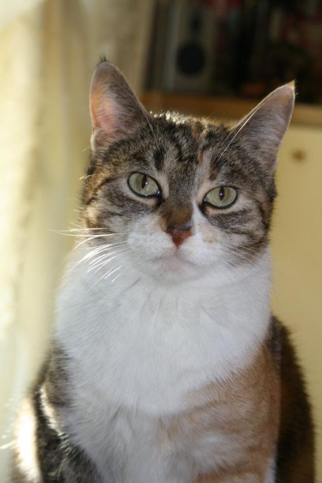 Amo farmi fotografare!