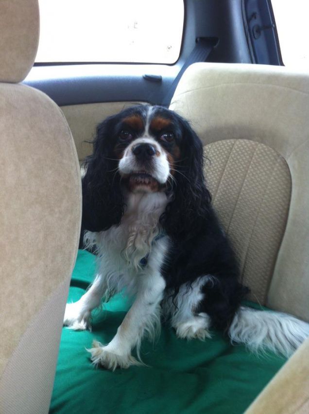 Eh si, adoro girare in macchina!!!