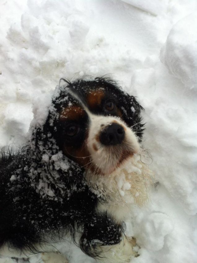 Che passione che ho per la neve!!!