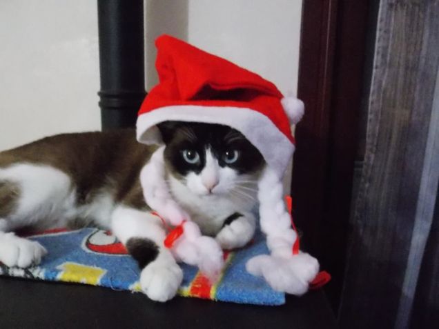 A Natale tutti con il cappello