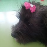 sonia