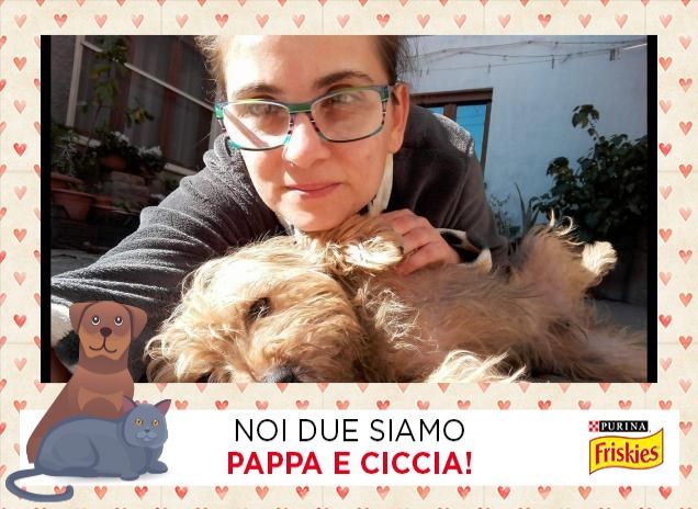 cavalletta da guardia