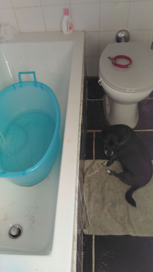 pronta x il bagnetto