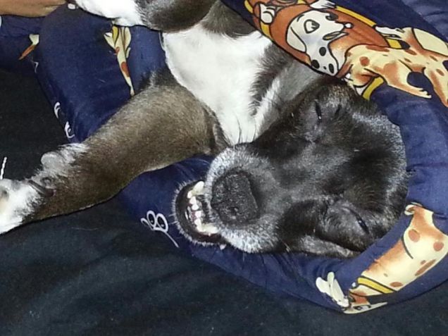 Nanna moooolto accaldate