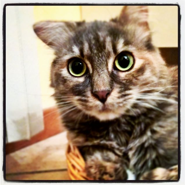 ma come sono bella!!!!