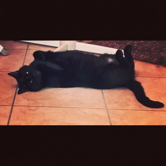 mi piace dormire strano....