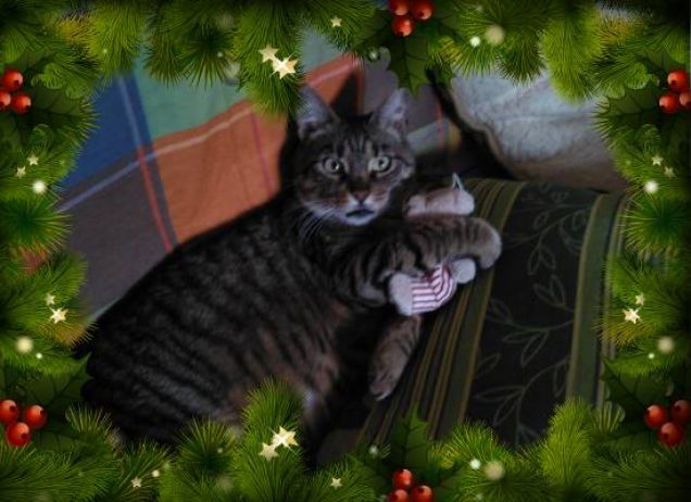 pisola e il suo peluche:-)