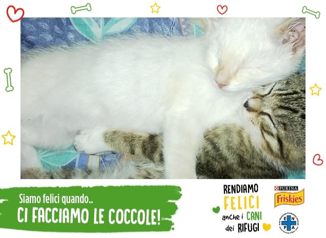 Felicemente 'abbracciosi'