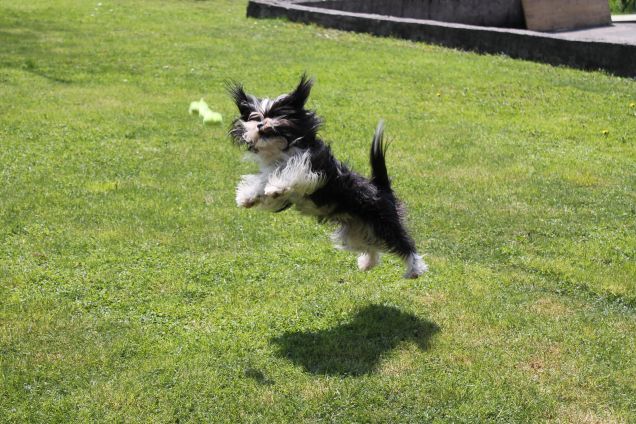 Luna volaaaaaaaaaaaaa :-)