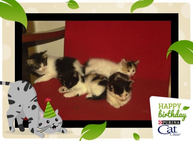 la famiglia è cresciuta