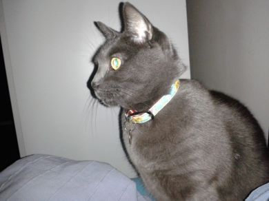 Kiki