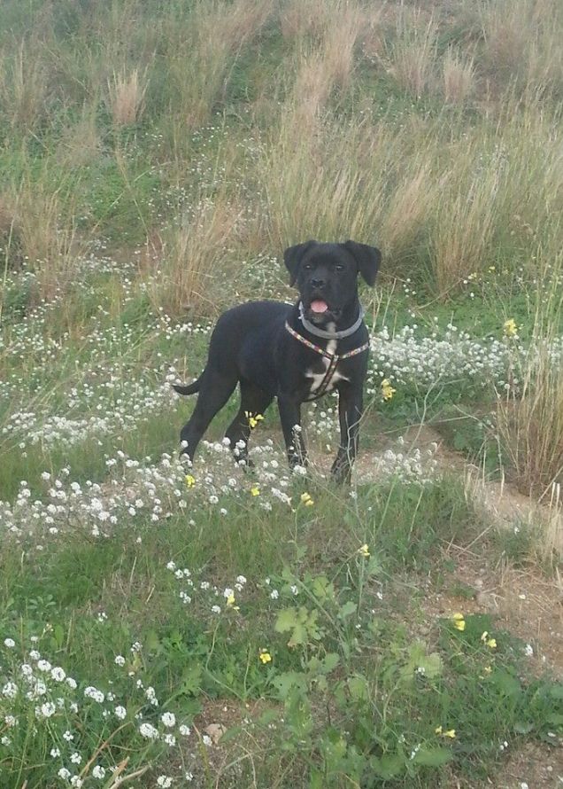 A passeggio in montagna