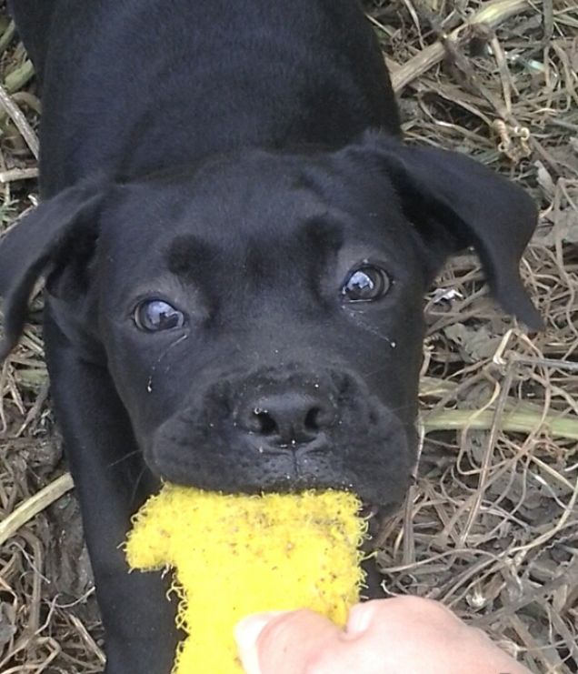 Occhi che trasmettono amore