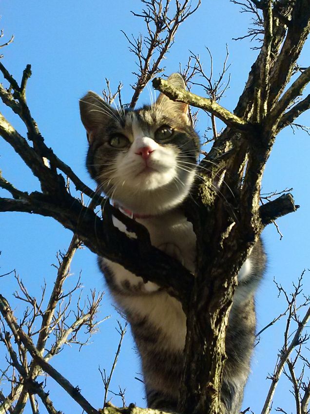 Un giorno conquisterò il mondo...e ci sono vicina!