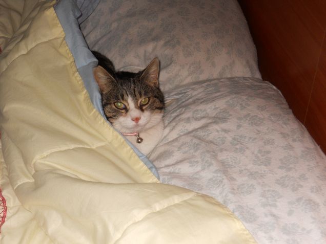 Beh? Fa freddo sapete?