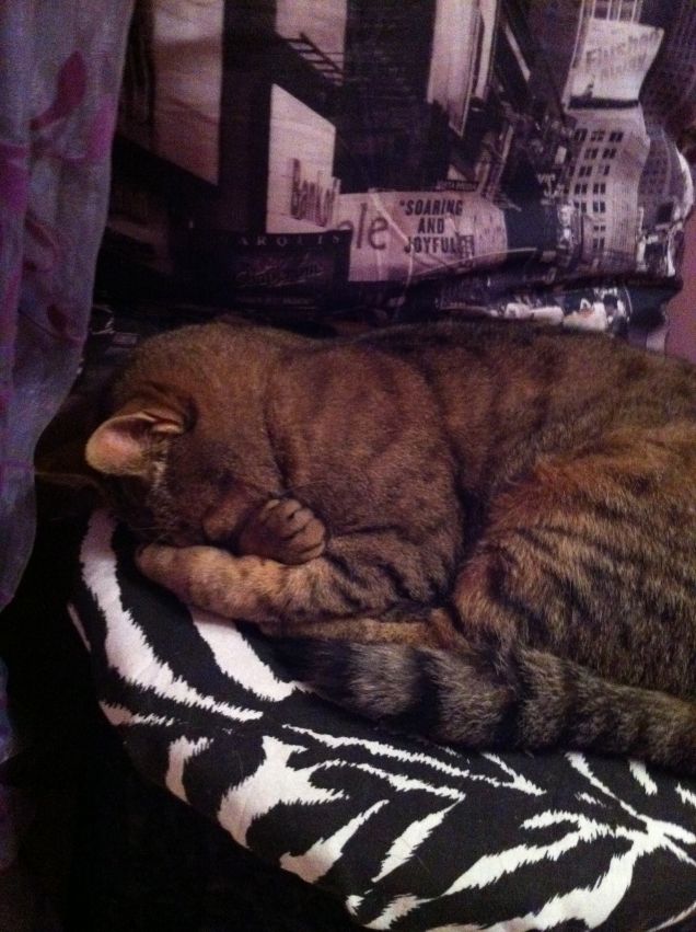 Che fastidio sta luceee!!