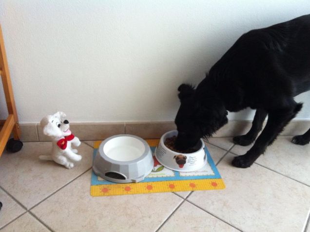 Grace e il suo pupazzo =)