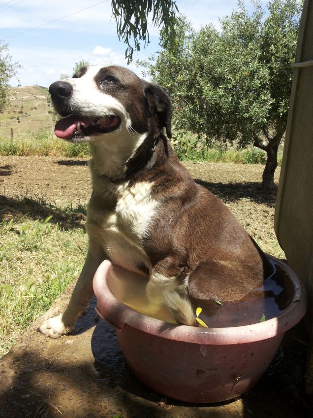 Luca fa il bagno da sola