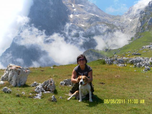 Una bella passeggiata in montagna