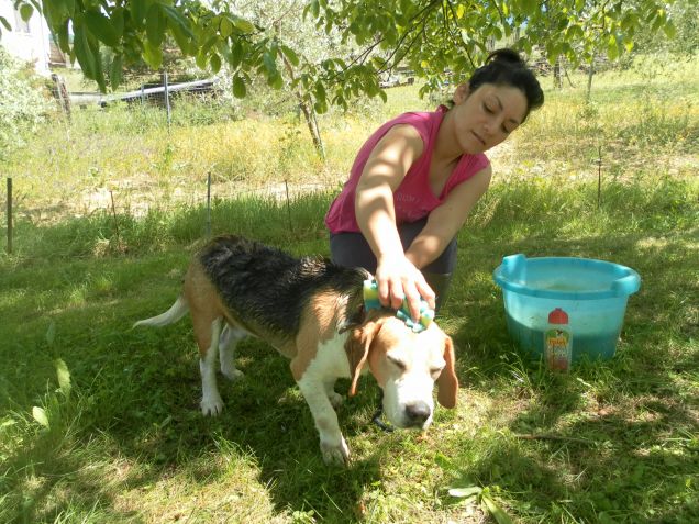 Il bagnetto?Noooooooooooooooo