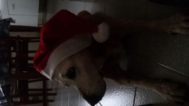 Aspettando il Natale 