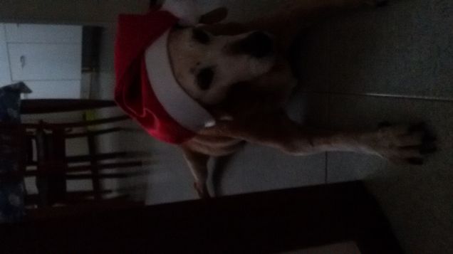 Buon  natale  a tutti 