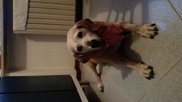 Oggi sono bellissima 