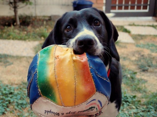 vuoi giocare con me?