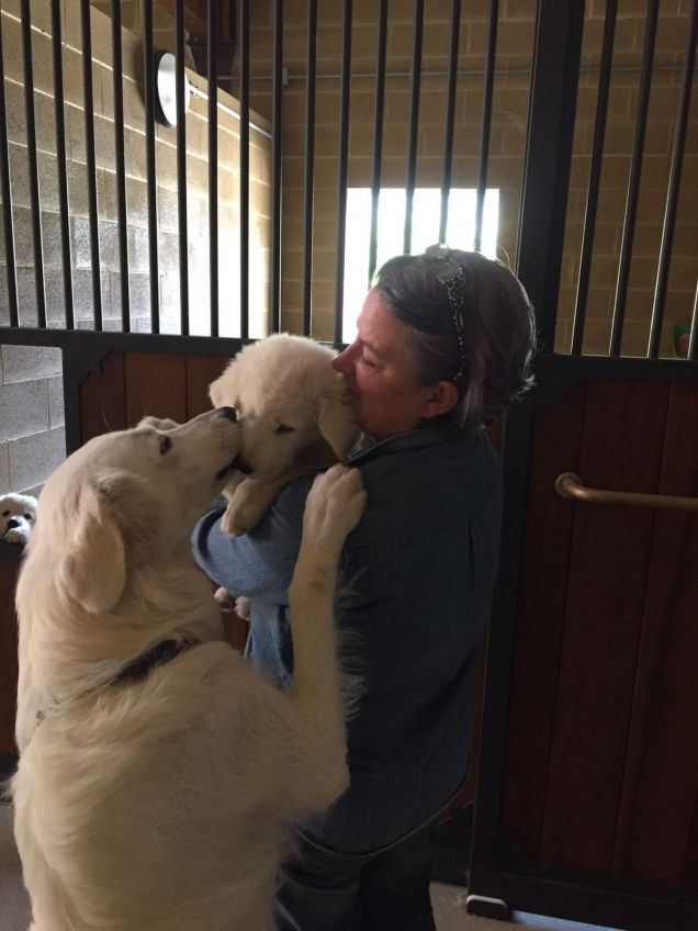 Il bacio di mamma d'addio