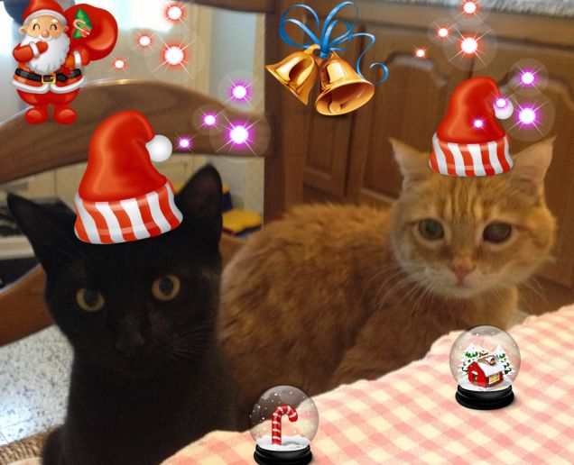 Buon Natale a tutti!!