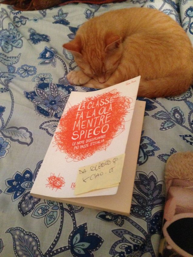 rossetto in lettura dopo aver masticato le pagine