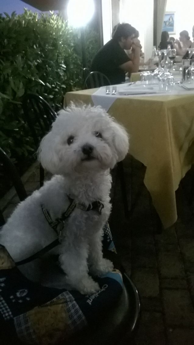 A cena fuori....