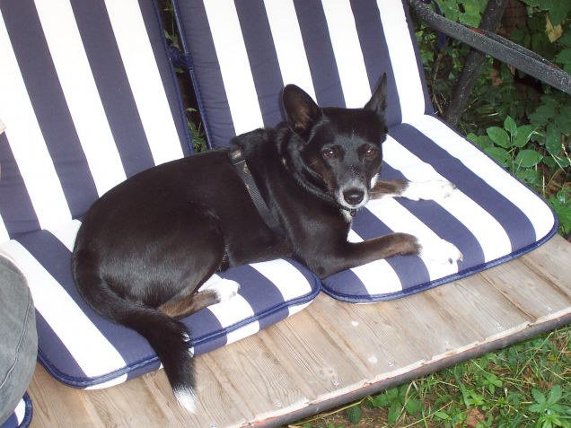 Rilassata sul dondolo