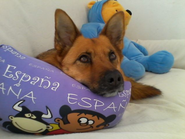 Kia relax
