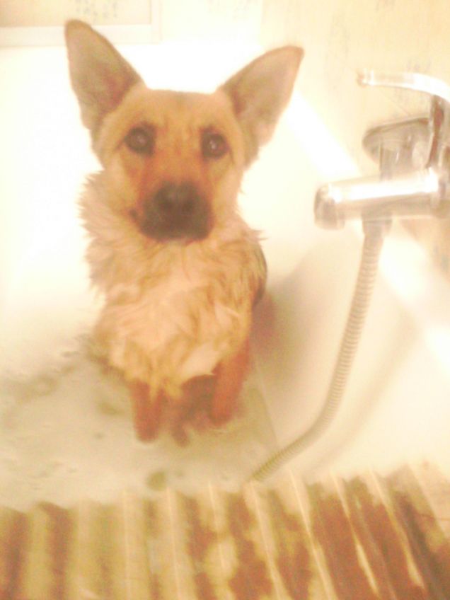 quanto mi piace far la doccia