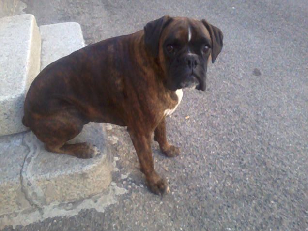 La comodità prima di tutto !!