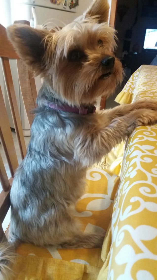 A tavola non ce n'è per nessuno 