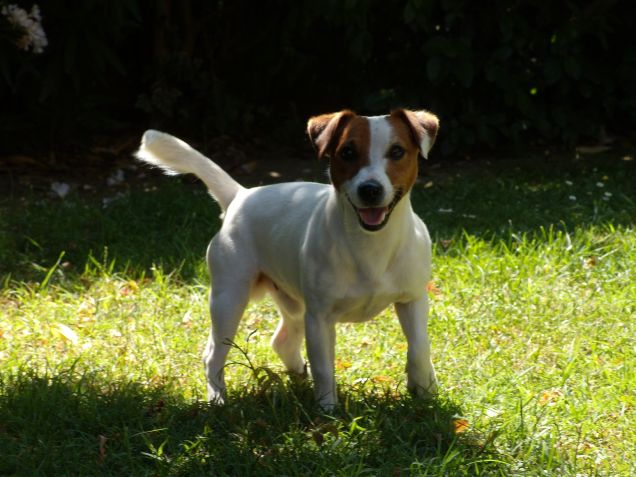 Ice Delle Tempeste Della Presolana