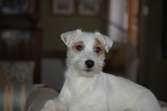 Amaible Marta di Poggio petroio