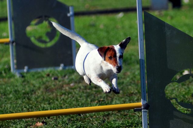 Hope Della Repubblica Pisana